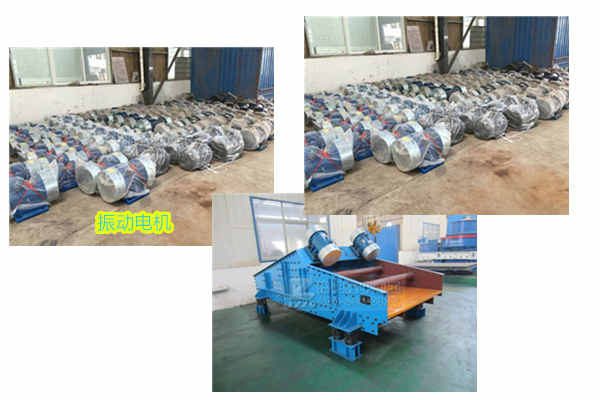 脫水篩振動電機